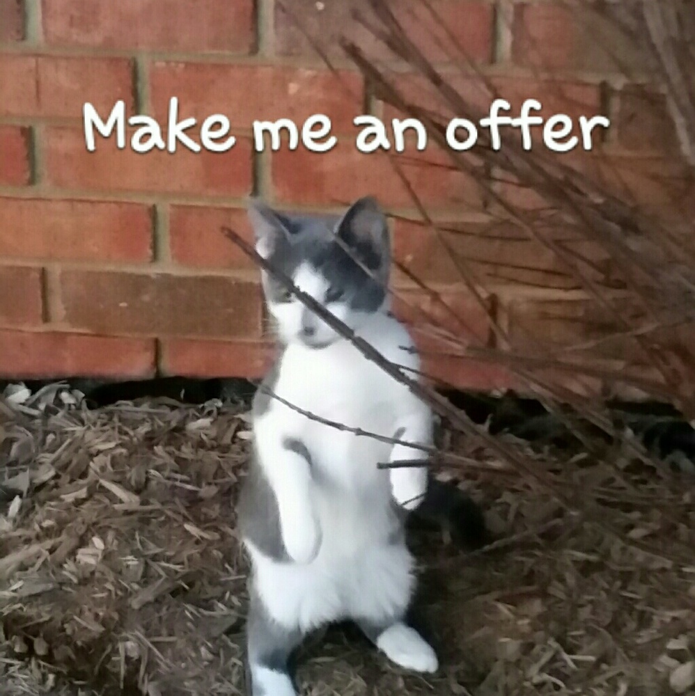 Please make me an offer